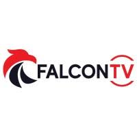 Falcon tv service