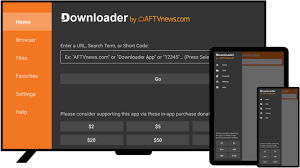 Downloader app on Firestick showing the URL input box