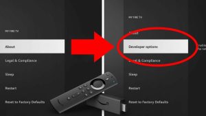 Enable Install Unknown Apps on Firestick to install IPTV Smarters Player